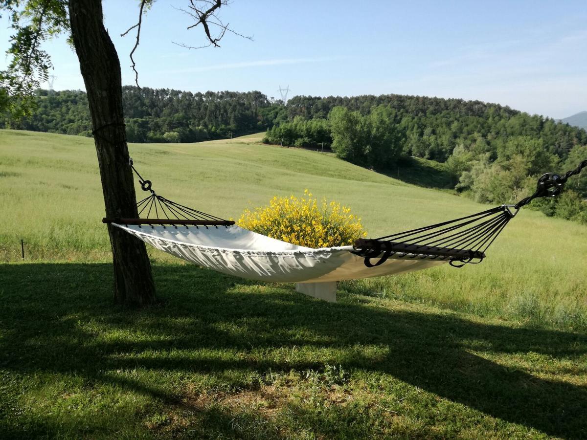 Il Vignolino Guest House Барберино ди Мугело Екстериор снимка